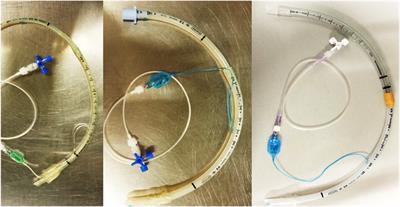 Use of Nasotracheal Intubation during General Anesthesia in Two Ponies with Tracheal Collapse